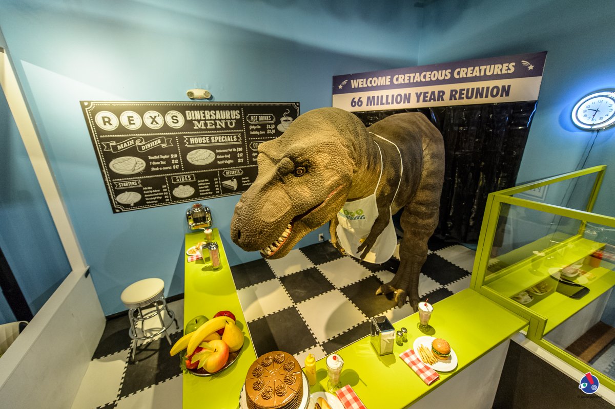 helloprintingfl's tweet photo. Have you seen this prehistoric space we #created for the Miami Children’s Museum Dino #exhibit? For more #creativeideas visit our website! https://t.co/2FgygFsJvz