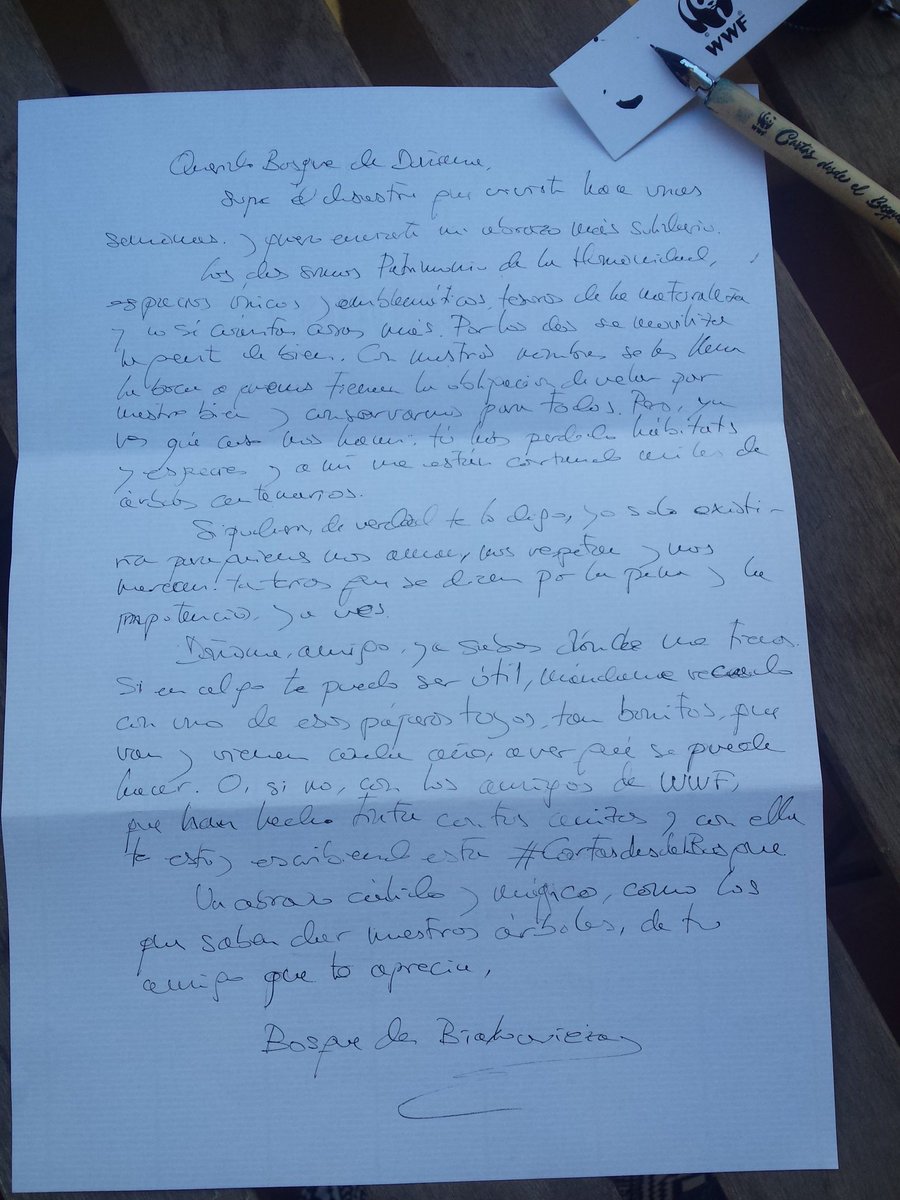 ClaraNavio's tweet photo. @WWFespana De un bosque herido a otro, una voz solidaria con su #Cartasdesdelbosque Gracias a @WWFespana por la iniciativa y por invitarme a participar https://t.co/XSTbejaqGn