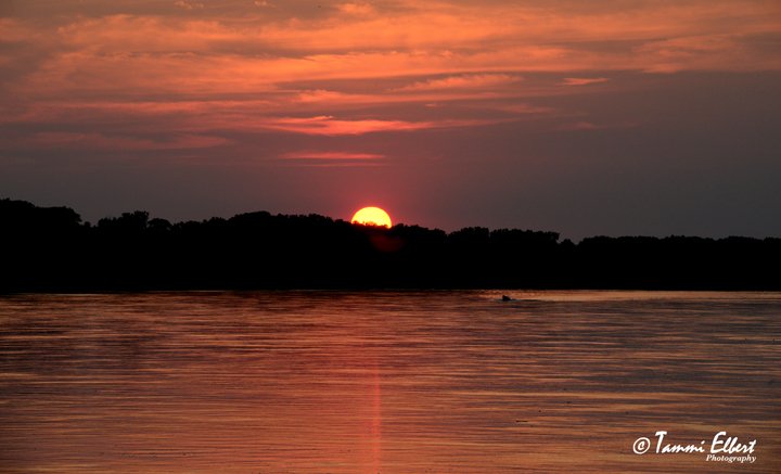 TammiElbert's tweet photo. #TreeloarMO #sunset on the #MissouriRiver #MissouriSunset #OnlyInMissouri @sunset_wx @SteveTempleton @scottontvKSDK @VisitMO #TelbertImages https://t.co/pY9xMJYsfO