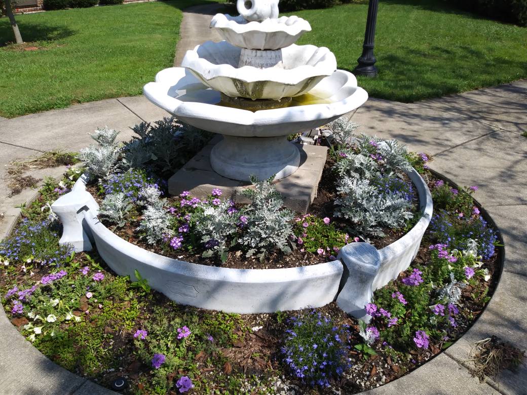 The sunshine, our residents, family and staff have taken great care of our flowers and garden! Another beautiful #CampusInColor this year!