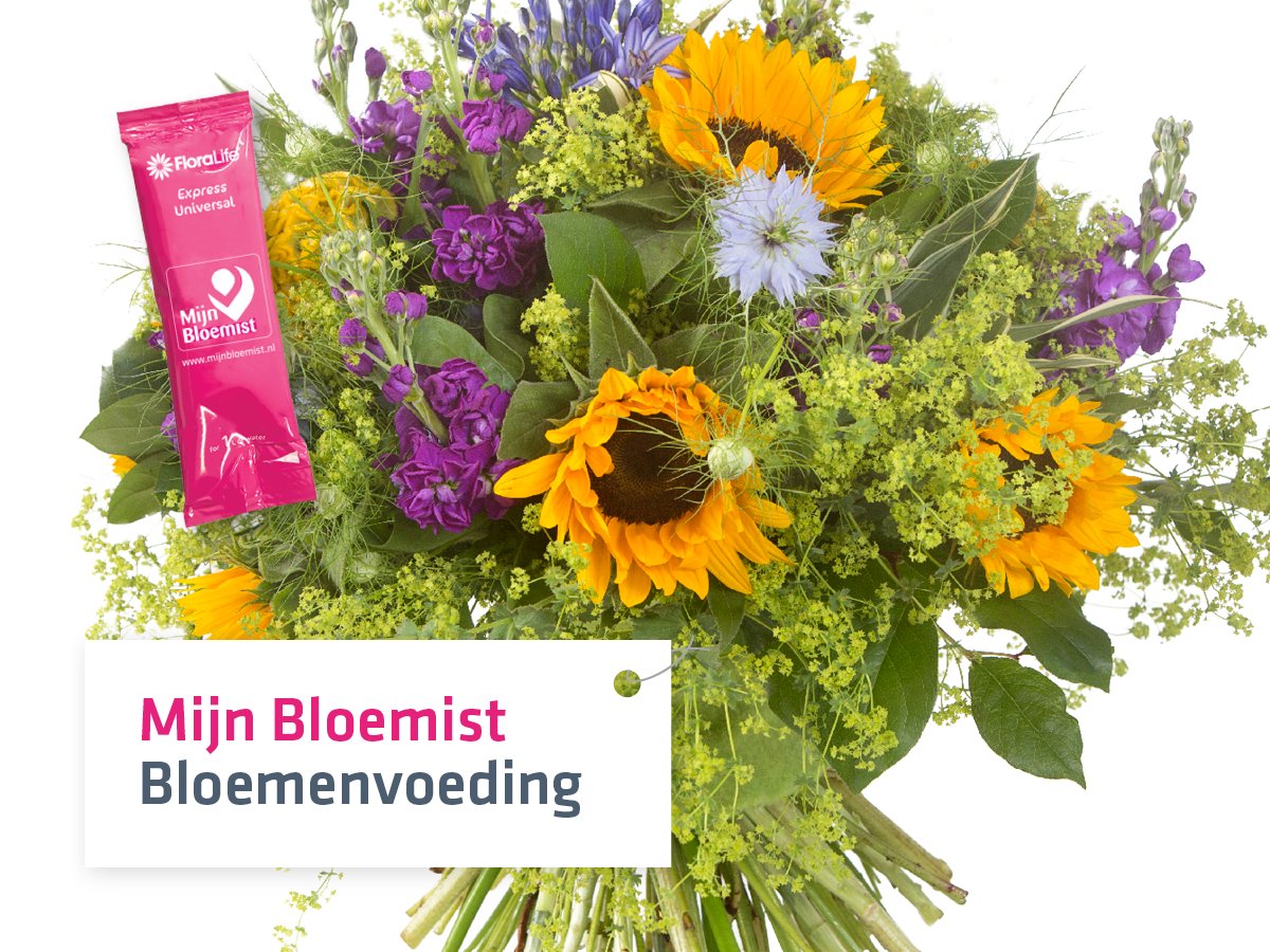 Bloemenvoeding is belangrijk om zo lang mogelijk te genieten van jouw bloeiers. Voeg daarom snijbloemenvoedsel toe!
