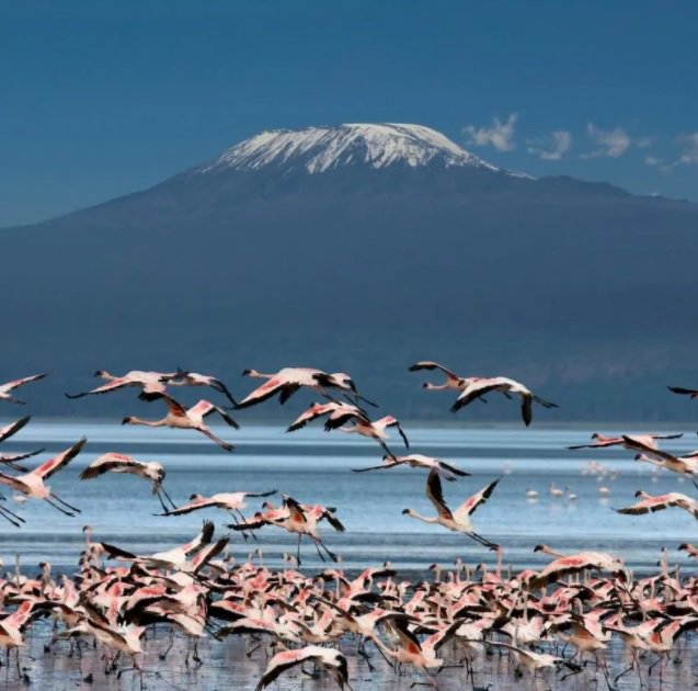 Nearly all #energy systems from these beautifull places were installed by Greenlink! #Tanzania #lodges
m.facebook.com/story.php?stor…