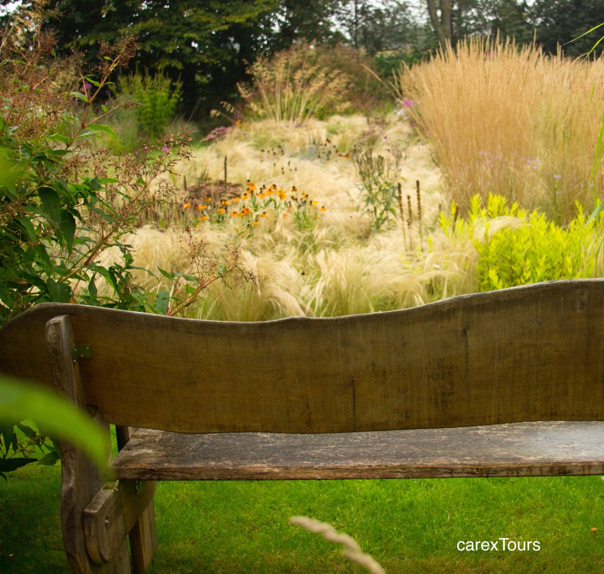 camullet's tweet photo. @Jakobstuin ...a field that #JaapdeVries turned into a #pollinator attracting #naturalistic #garden in #Friesland. https://t.co/HGOs7oLAmV https://t.co/FsKTsGallg