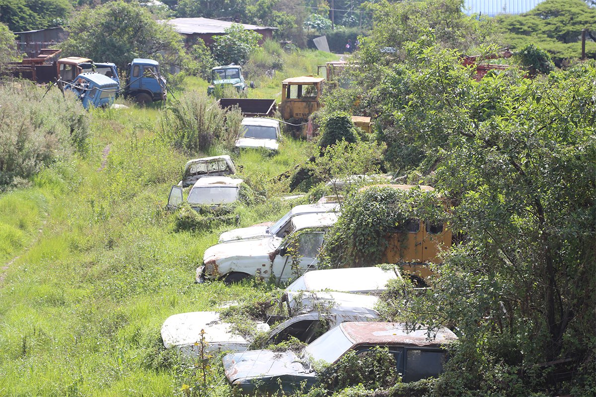 addis_fortune's tweet photo. The cars are hibernating, if not decaying in a jungle #WolloSefer #AddisAbaba https://t.co/HmU8ErfmfR