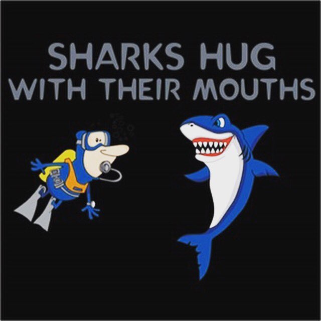 sjsharkie's tweet image. #EveryWeekIsSharkWeek!
Wanted to share an unknown fact with you today: