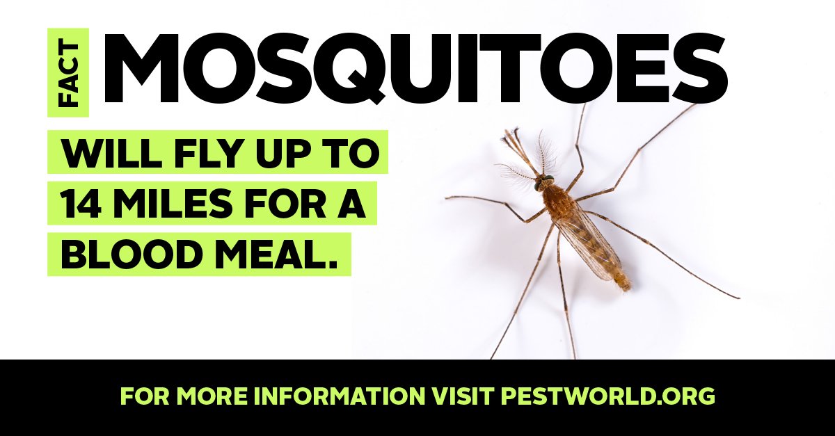 PestWorld's tweet photo. How far would you go? #funfact https://t.co/UzvPMZljNd