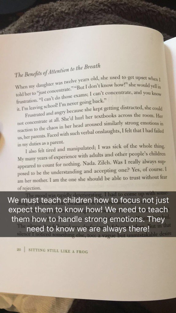 Teaching children to focus/manage emotions is as important as the academic curriculum. #Mindfulness #relationships