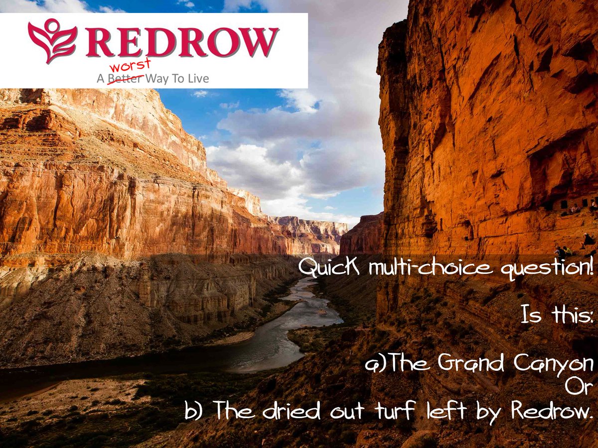 RedrowRogues's tweet photo. #quiz #GrandCanyon #newhome eerrr...is it B? https://t.co/WYPO2dodWe