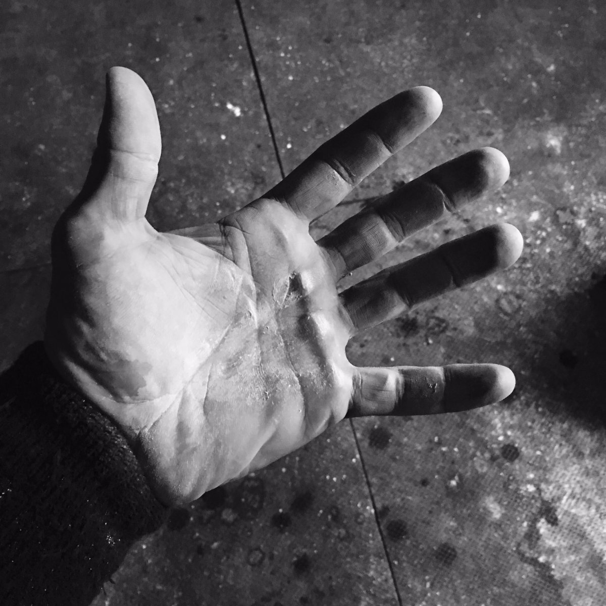 Jocko Willink tweet media