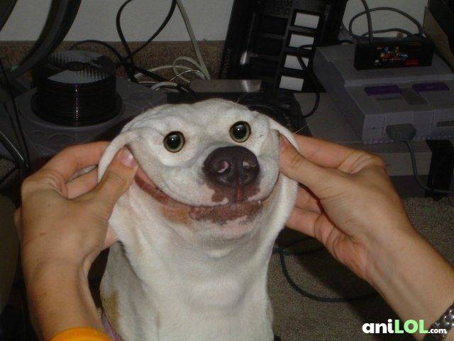 ThreeYsMenMedia's tweet photo. New episode of the #podcast out tonight! I can barely contain my excitement!!
#Podernfamily #trypod #FantasyFilmmaking #film #movies https://t.co/hrz73Y9ycv