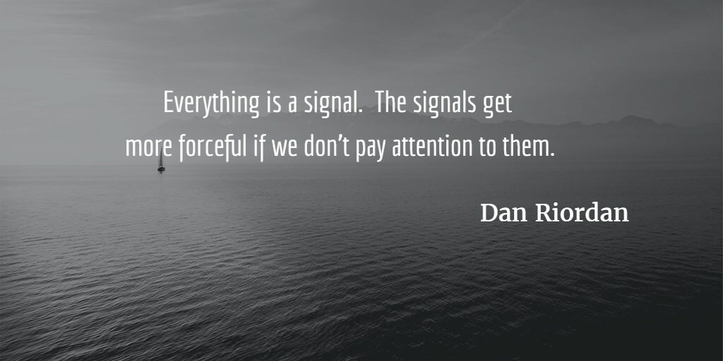 Danwriordan's tweet photo. Listen to your signals dynamically.  Life is an expedition, discover something interesting today! #SignalsMethod #quote https://t.co/3YvGAQAoTE