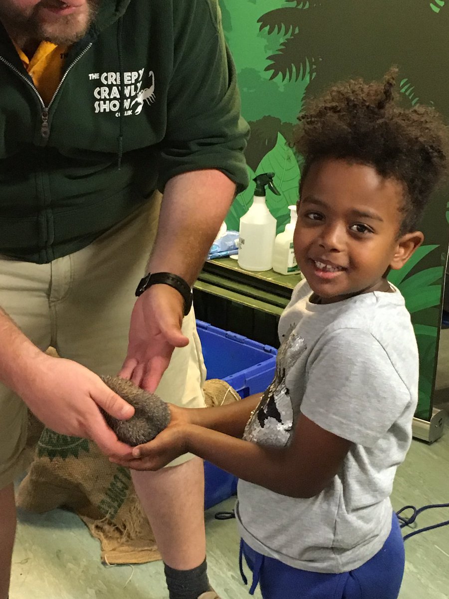 BCPS_MrsP's tweet photo. Another fantastic day at Broadfield's summer club! Lots of minibeasts and creepy crawleys amongst other activities! @BCPSDeputy https://t.co/yexjcZ61Kf