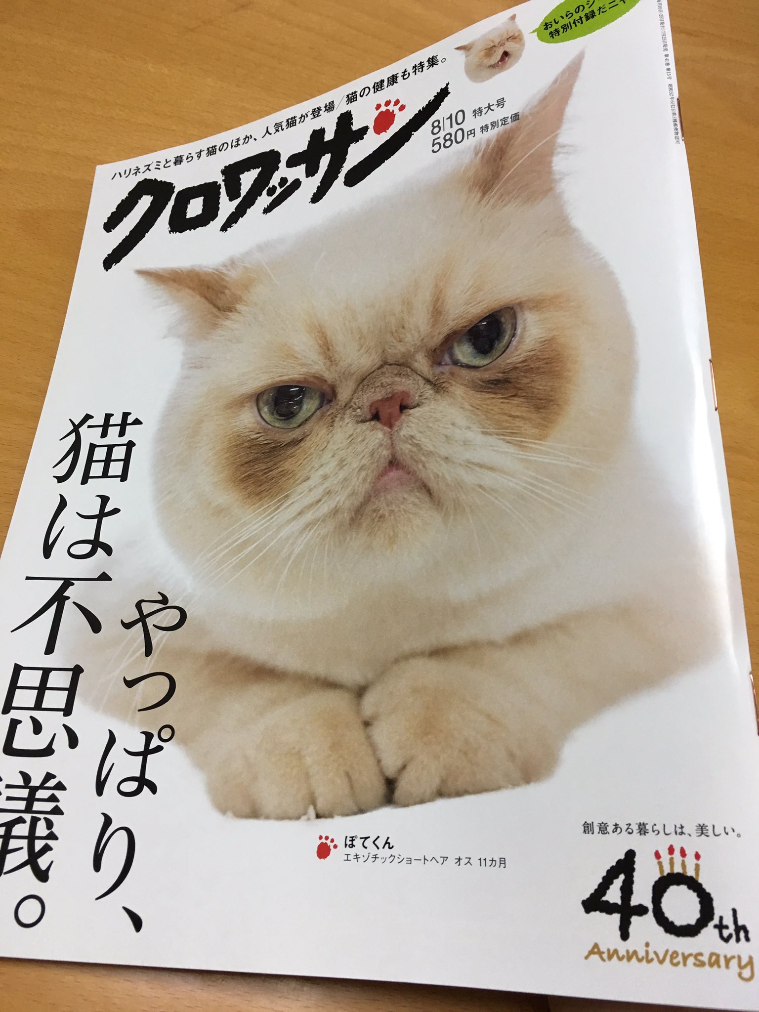 カンパチ船長 Twitter Search Twitter