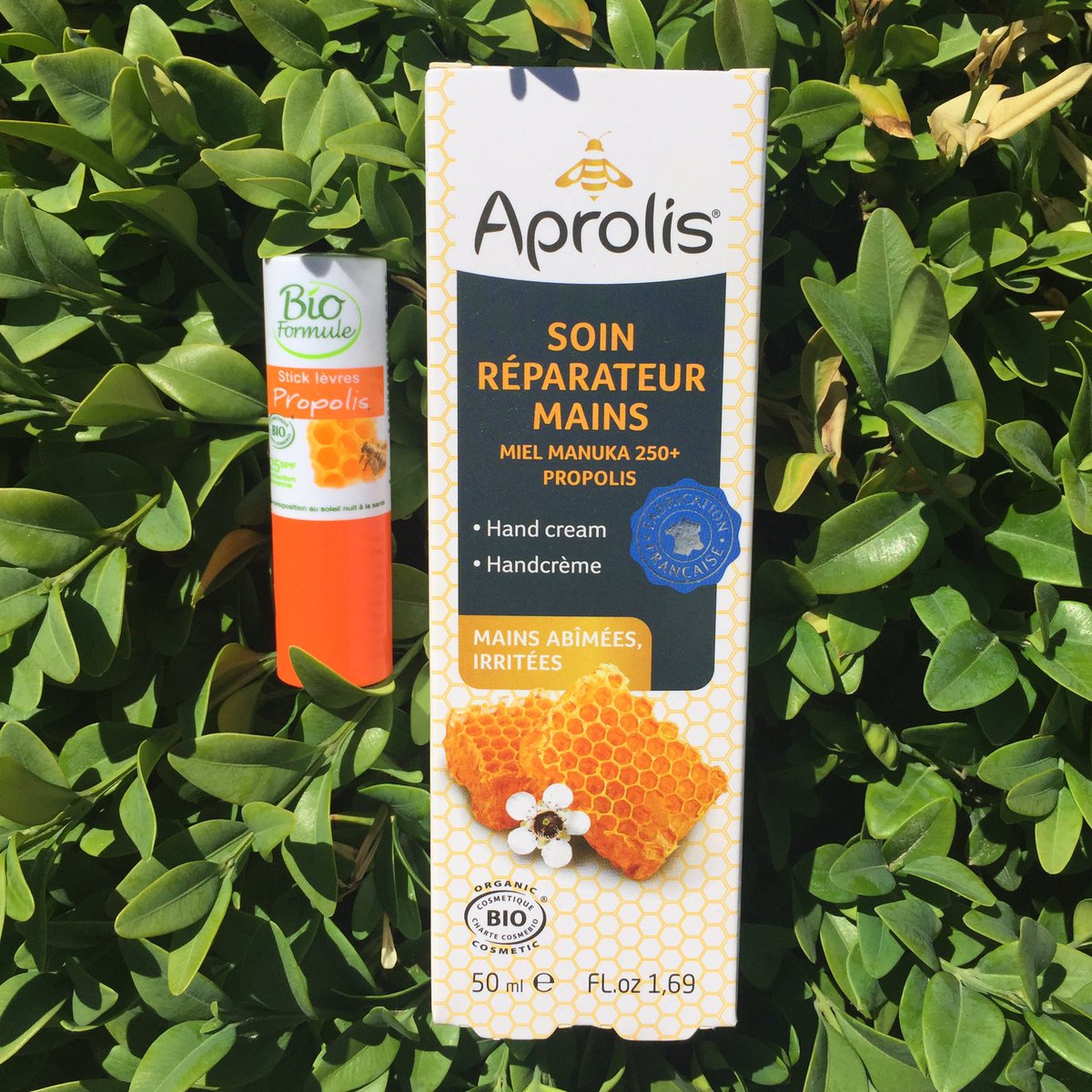 theorganiclabel's tweet photo. The difference between #manuka and #propolis?Health benefits?Review of 2 great products: https://t.co/hQqcCMkj05 #greenbeauty #healthblogger https://t.co/hBbaot16Kb