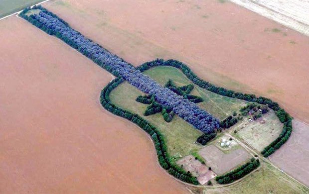 SeriousStrange's tweet photo. A man named Pedro Martín Ureta planted 7,000 trees to make a guitar shaped forest as tribute to his late wife. https://t.co/u7nUAaAwo0