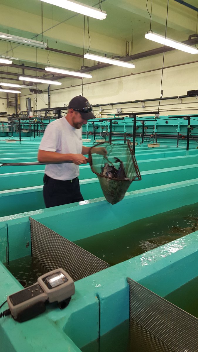 jmsayers78's tweet photo. Have a child that would find it fun to catch these Channel Catfish? Here is how..... https://t.co/DrA5acAR6q
@ott3rm0m @michele_pfbc https://t.co/5PDfQuB9ob