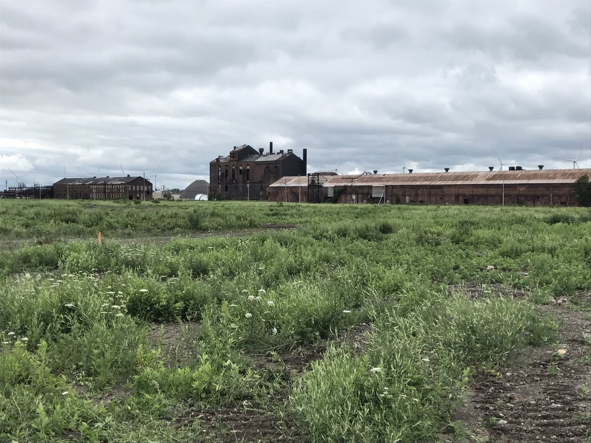 justinmooretv's tweet photo. @ErieCountyNY purchases 148 acres of industrial land at the old Bethlehem Steel site in Lackawanna for $5.5 mil. @WKBW https://t.co/ST3CEkIS7B