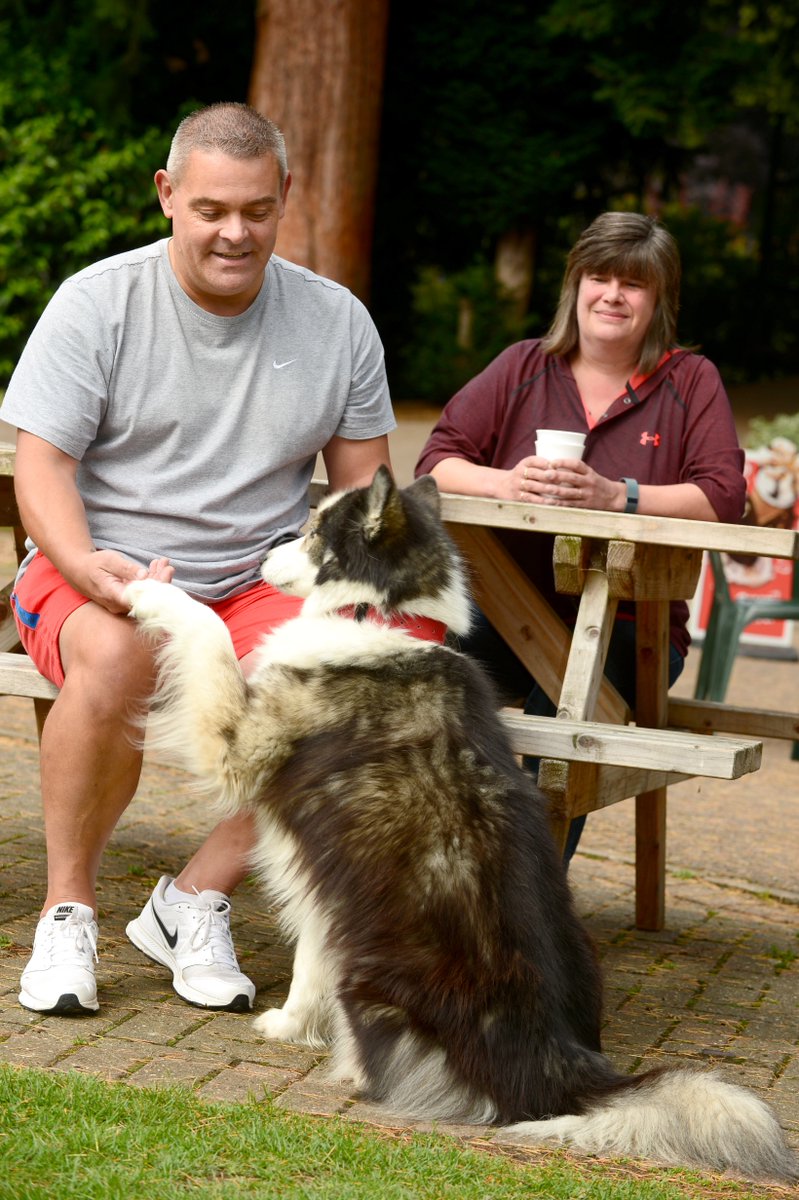 Mars UK (@marsuk) on Twitter photo We think Melton is the purr-fect town for pets! That's why it's entering the <a href="/dogfriendlyinfo/">DogFriendly</a> awards this year: bit.ly/2tms0SL We think Melton is the purr-fect town for pets! That's why it's entering the <a href="/dogfriendlyinfo/">DogFriendly</a> awards this year: bit.ly/2tms0SL