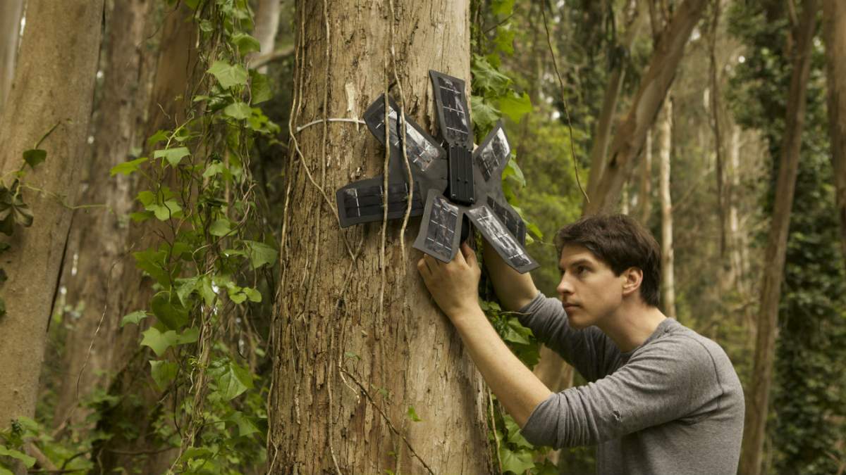 APEGNB_AIGNB's tweet photo. This engineer uses old mobile phones to save our forests https://t.co/ZGHBJ6HgbS

#forestry #environment #logging #rainforest #smartphones https://t.co/RtXFKqPvd3