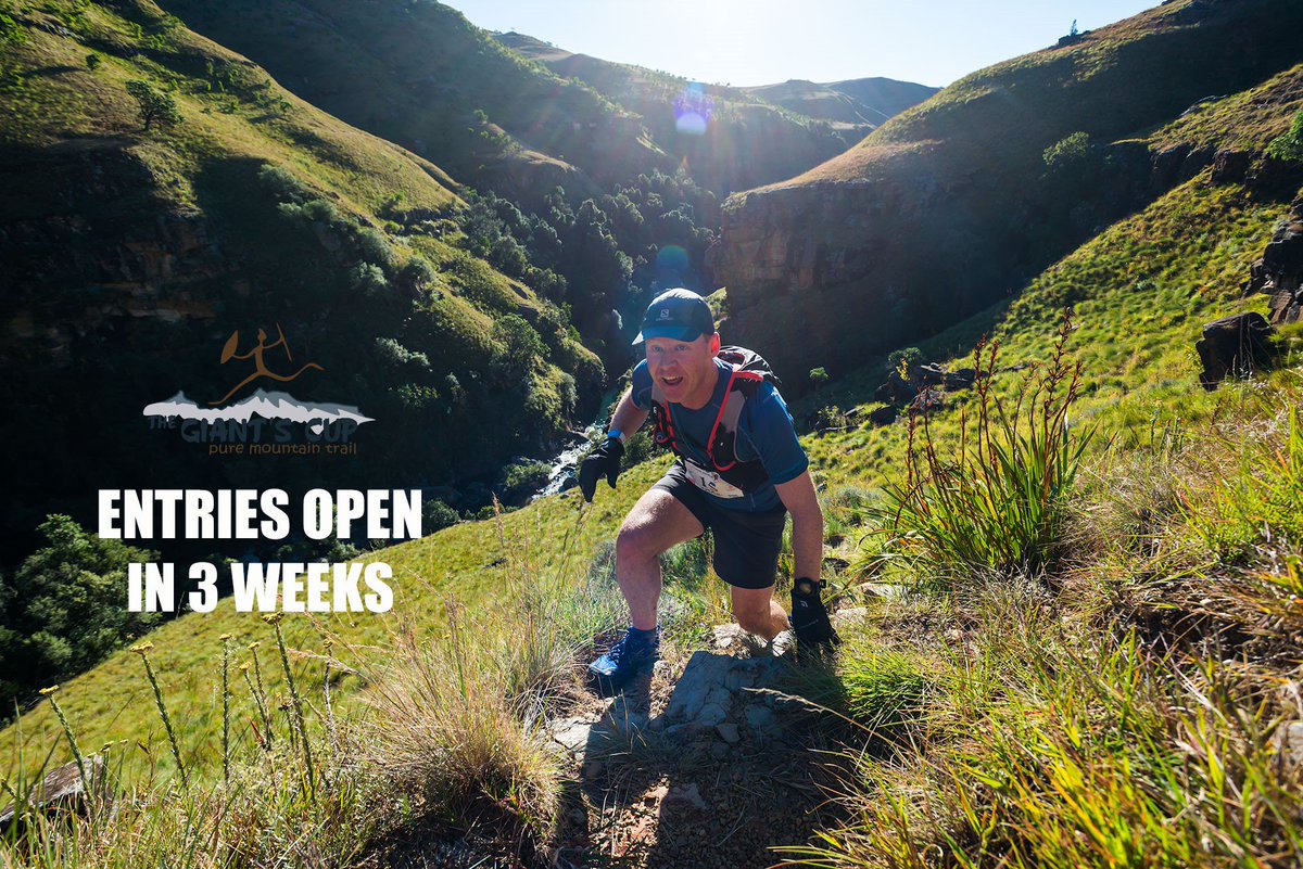 The Giant's Cup tweet media