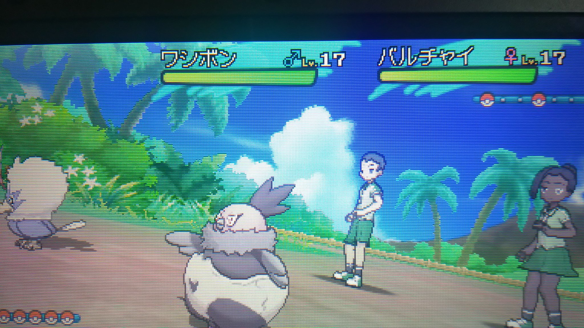 センジ ジーナと デクシオって なぞのひと として いろんな じけんを かいけつ してるって ５ばんどうろ ホープコンビのコウタ ポケットモンスターサンムーン ボイスチェッカー T Co Ws0a2oj6lh Twitter