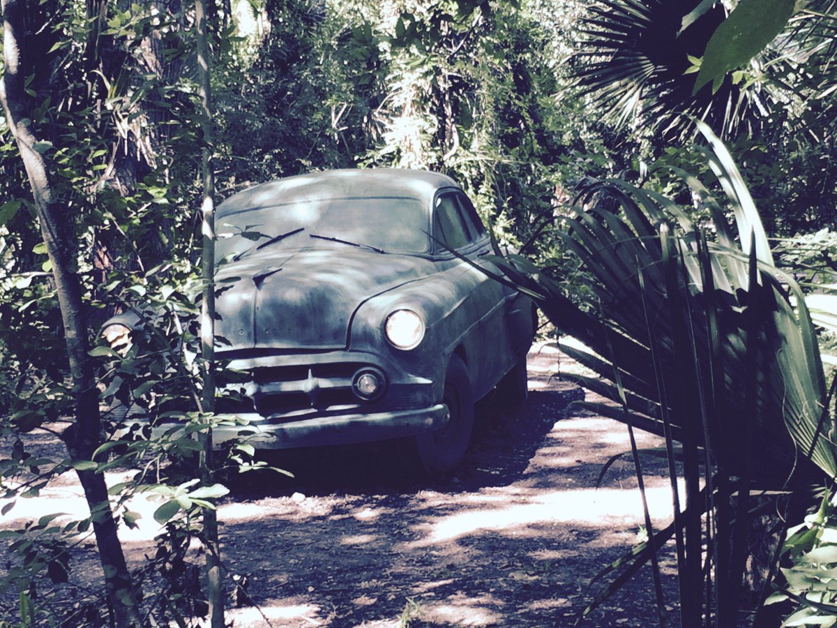 rexengineer's tweet image. Found deep in the jungle surrounding Austin's startup scene. #InsideOutbound