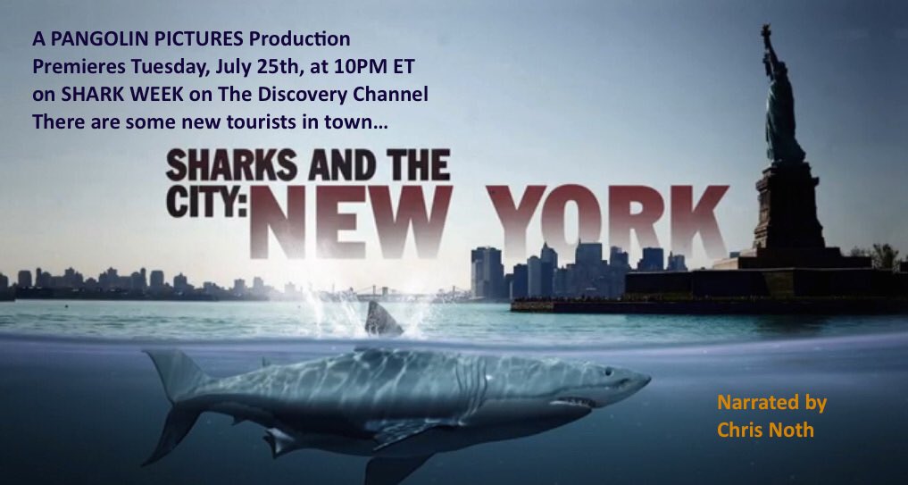 TheSharkDoctor's tweet photo. Tune into @SharkWeek tonight at 10pm to #sharksandthecity as my brother (@timmyodrone ) and I make a #discovery of a lifetime in #NewYork! https://t.co/TZ01dnNXSN