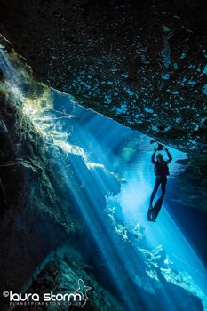 A stunning new #exhibition 'Drops in the Ocean' launched today showcasing underwater photographs by Laura Storm @PressroomCafe in #Surbiton