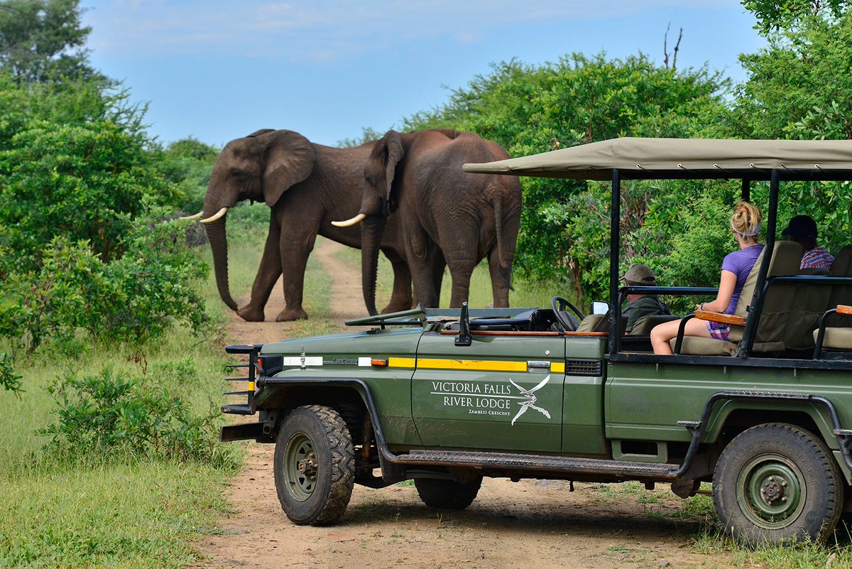 MyTripToAfrica's tweet photo. Explore the mighty Victoria Falls in the luxury at Victoria Falls River lodge #wowafrica #themightyfalls #Africa @jmakhospitality @bclarke13 https://t.co/dyX2ZFkRnM