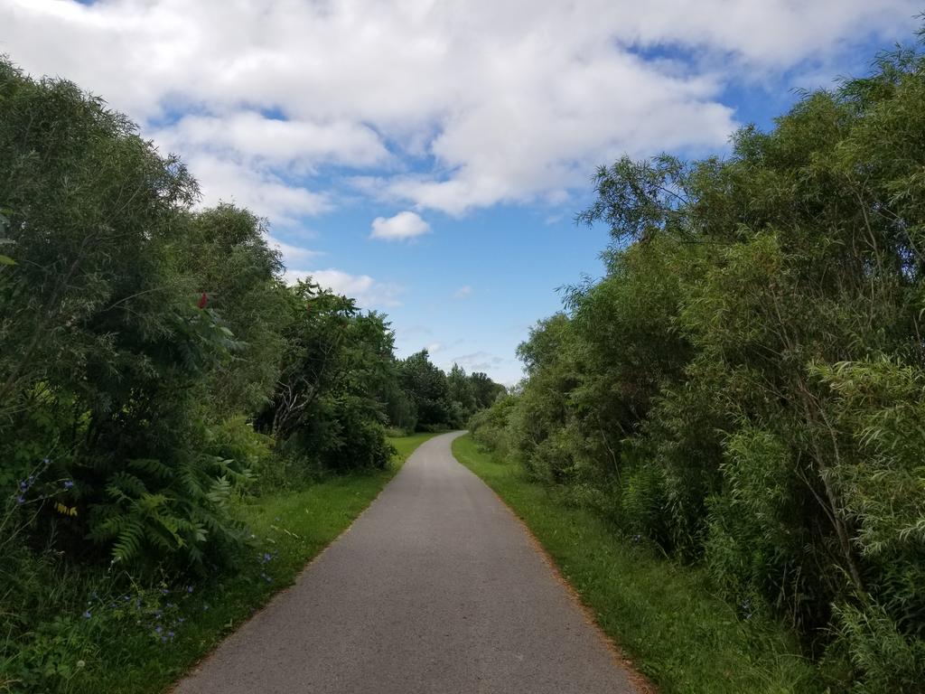 ptboprops's tweet photo. Where else in the world has amazing jogging routes like this?! #beauty #ptbo https://t.co/6gTNpCyGMv