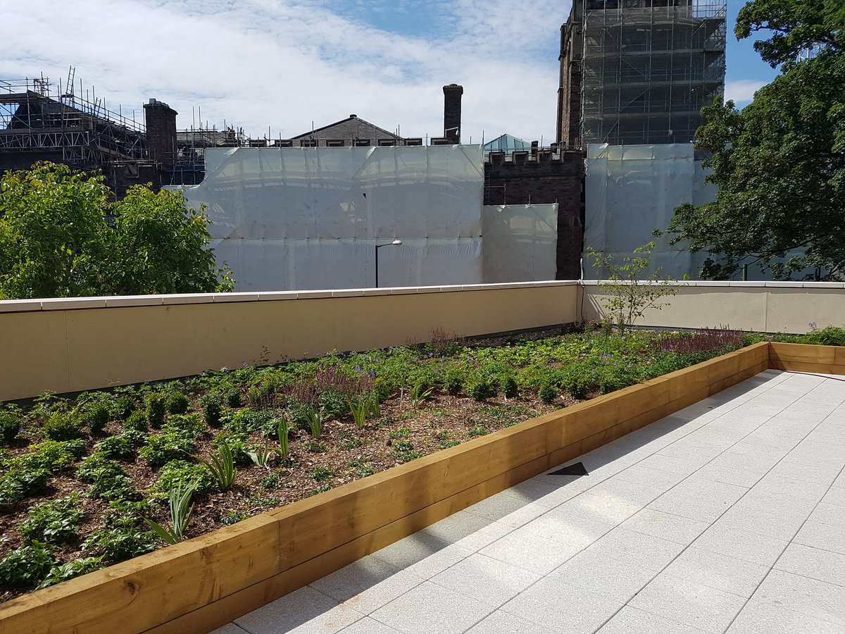 WDKatBenson's tweet photo. Lovely external space @BristolUni #QueensBuilding new wing nearing completion @WDWalesWest @WillmottDixon @Scape_Group #teamscape https://t.co/8JCzVTK9lo