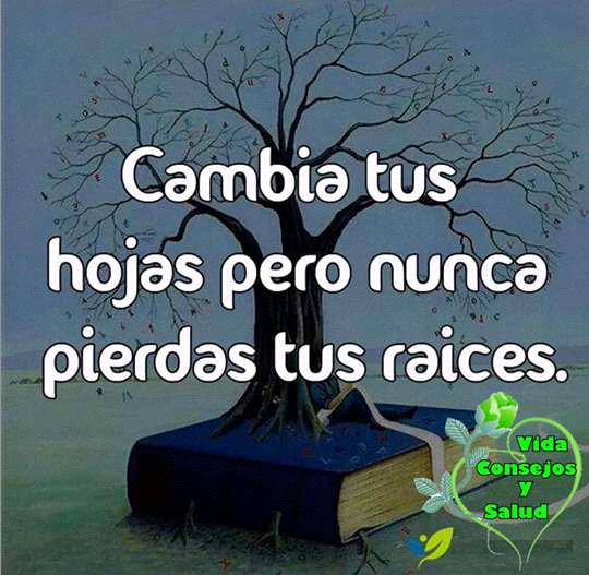 annamargf's tweet photo. Cambia tus hojas pero nunca pierdas tus raices. https://t.co/Jatit7AC8r
