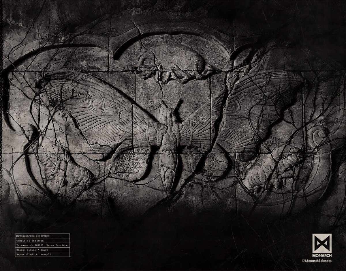 Moveeks Monarch La Empresa Dedicada A Cazar Monstruos Revela La Primera Imagen De Mothra A La Que Veremos En Kingofmonsters T Co Wcnxg3bnly