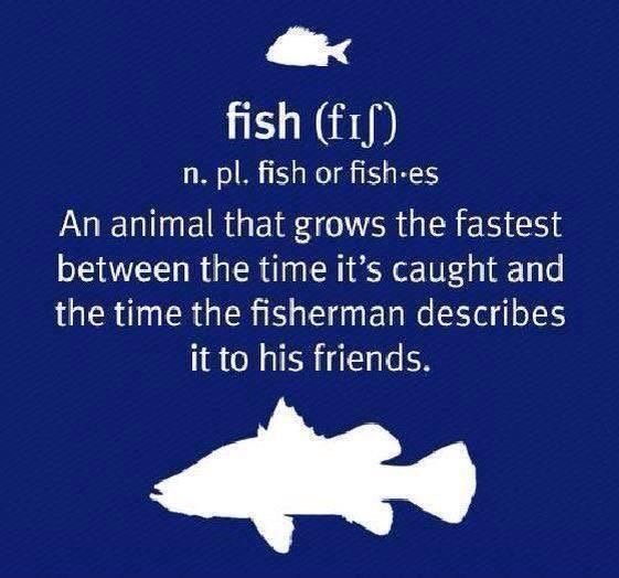 #TuesdayThoughts #Fishouflage