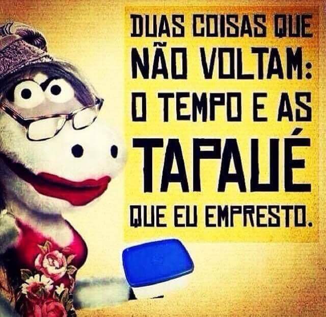 verafalcao#sdv (@verafalcao) on Twitter photo 