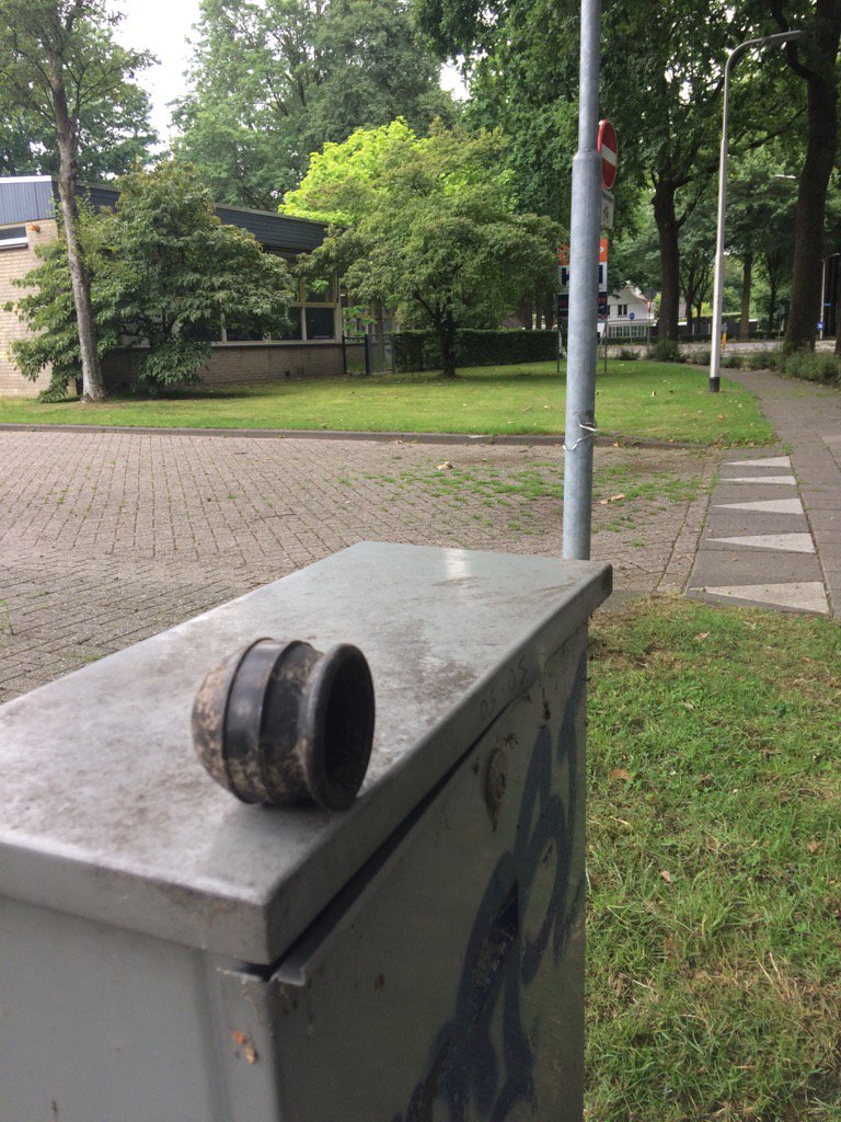 Dikkertje Dop zit op de top👀 #zwerfie