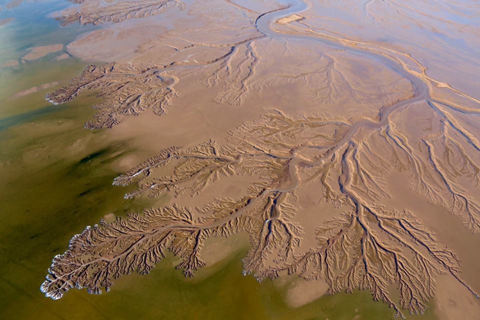 CORiverDelta's tweet photo. We are RECONNECTING the #CORiver to the sea! What better way to celebrate #ColoradoRiverDay! https://t.co/uibnnNMEB4
