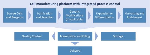 Dr_ASingh's tweet image. #ImmuneEngineering (16/23): @KrishRoyLab describe cells as &quot;drugs&quot;: biomanufacturing  of cell-based #immunotherapies sciencedirect.com/science/articl…