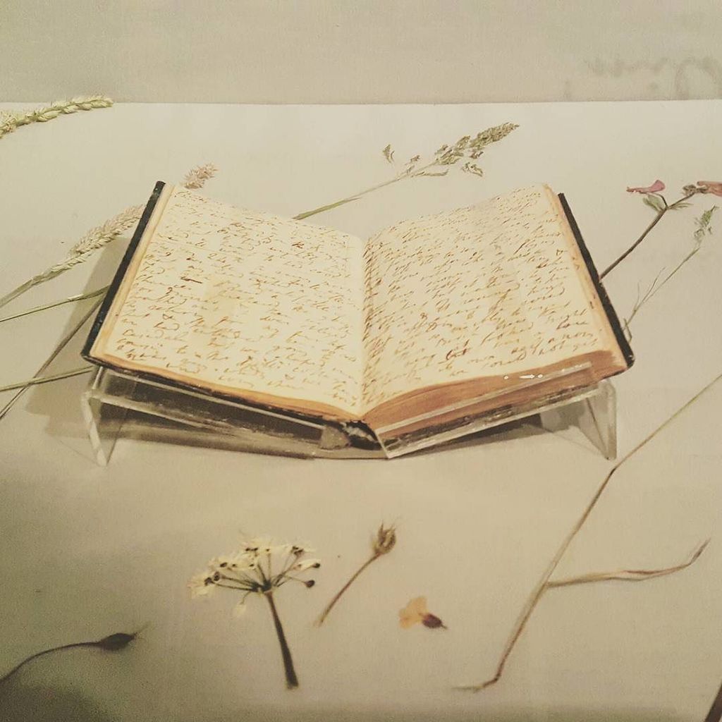 WordsworthGras's tweet photo. Dorothy's journal is nestled among beautifully pressed flowers in our current #WeatherWords exhibition https://t.co/7yUJR1rbuS