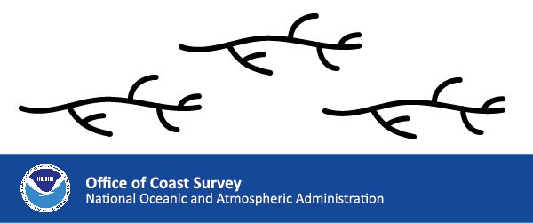 Noaa Nautical Chart Symbols