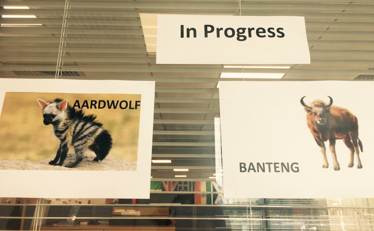 Emer Kirrane tweet media