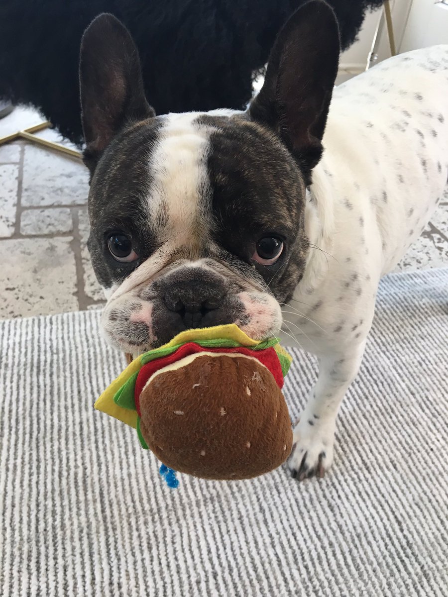 Somebody is hungry for a new season of #Wahlburgers!

August 9th 9/8c on <a href="/AETV/">A&E</a> 
<a href="/WahlburgersAE/">Wahlburgers on A&E</a> <a href="/Wahlburgers/">Wahlburgers</a>