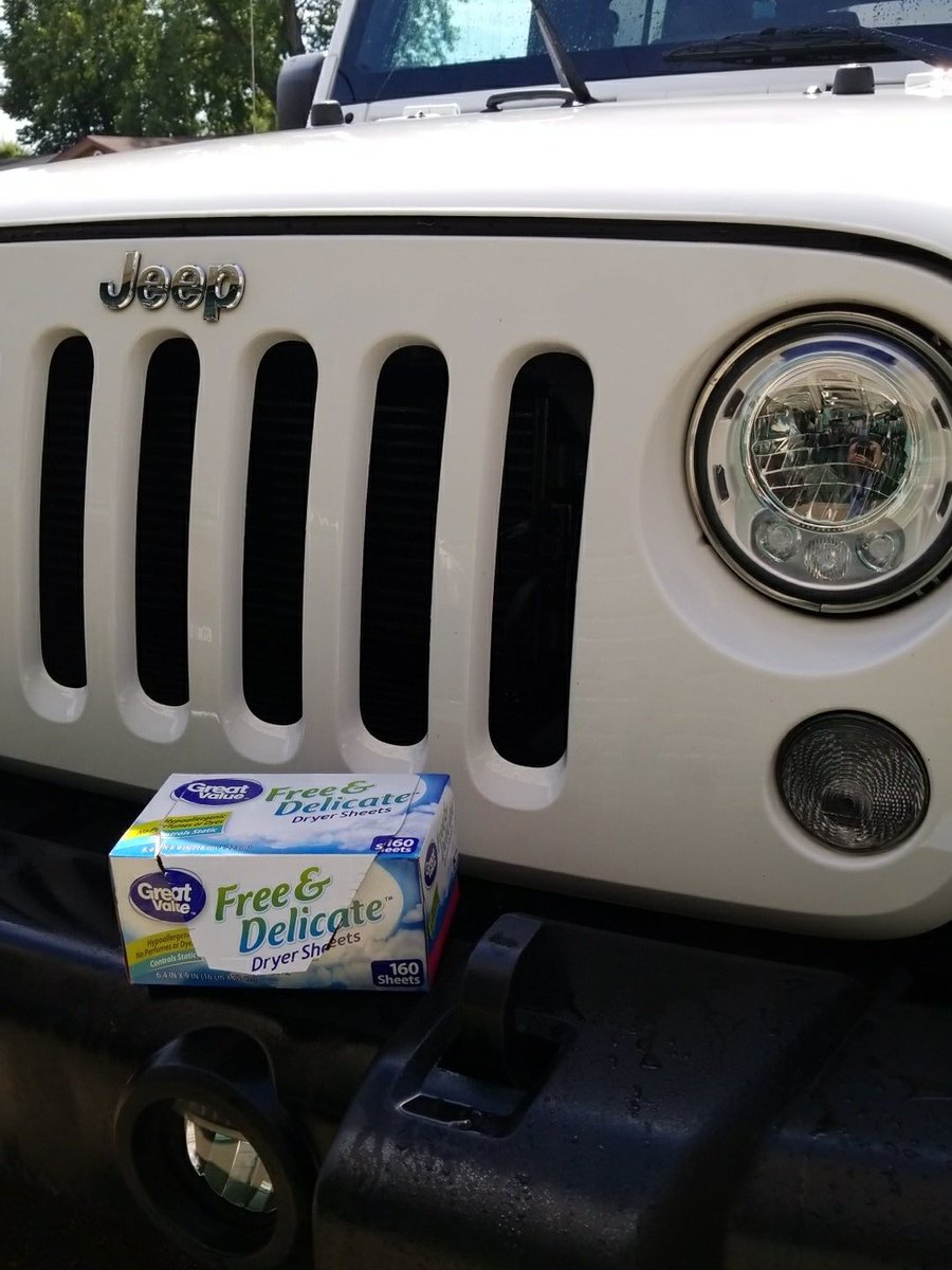 Semi0bscene's tweet photo. #CleaningHack #JeepHack wet dryer sheets remove baked on bug guts better than any bug/tar spray cleaner!#wranglerRubicon #SummerofWampa https://t.co/20MEqy2qg1