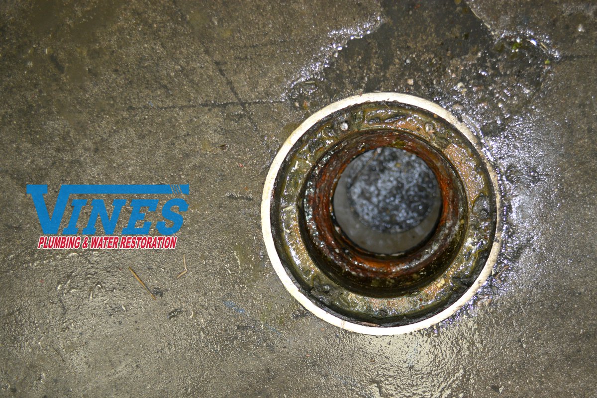 VinesPlumbing's tweet photo. Did you know that Vines Plumbing and Water Restoration offers commercial and residential drain cleaning? Ask about our Platinum Promise. https://t.co/djDKn161h6