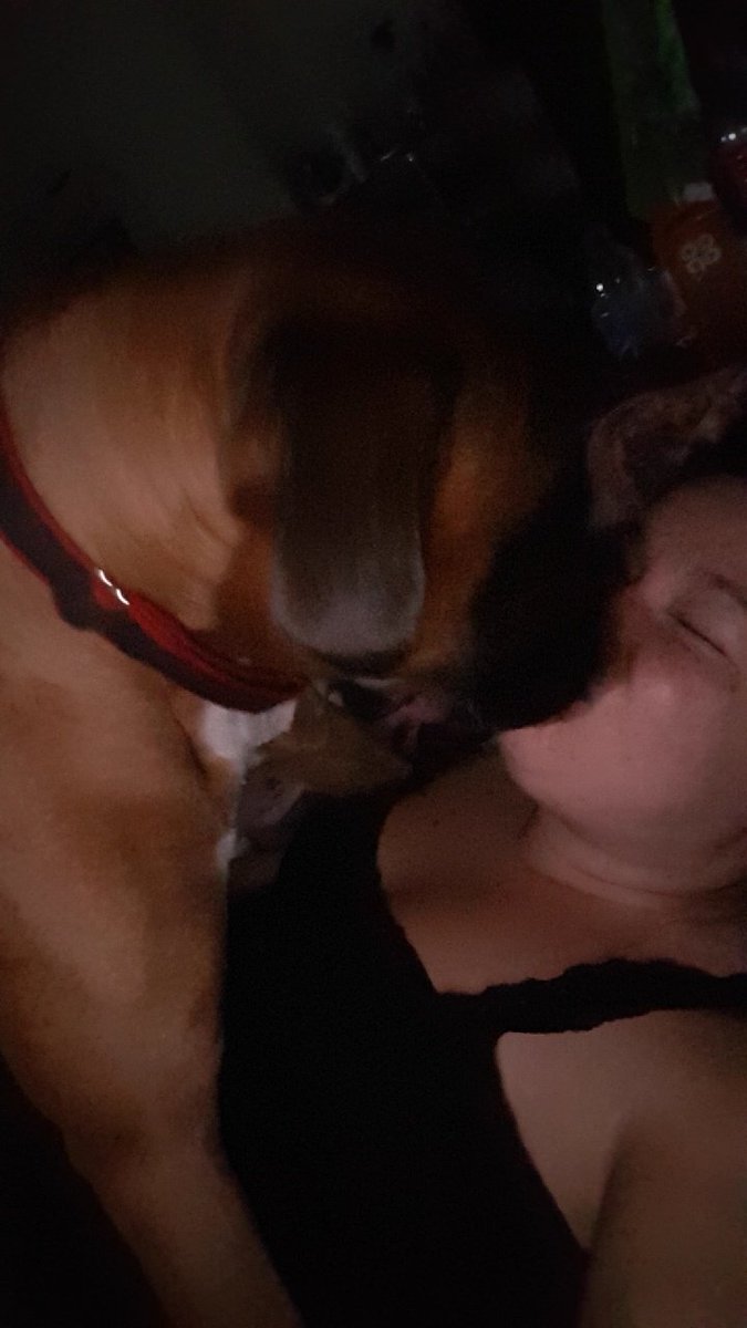 SpudTheBoxerDog's tweet photo. #mummykisses #ilovemymum #bedtimesnuggles #boxers #boxer #boxerdog #boxersofinstagram #boxerpup  #dogsoftwitter #dogstagram https://t.co/Vy4sdO1lWn