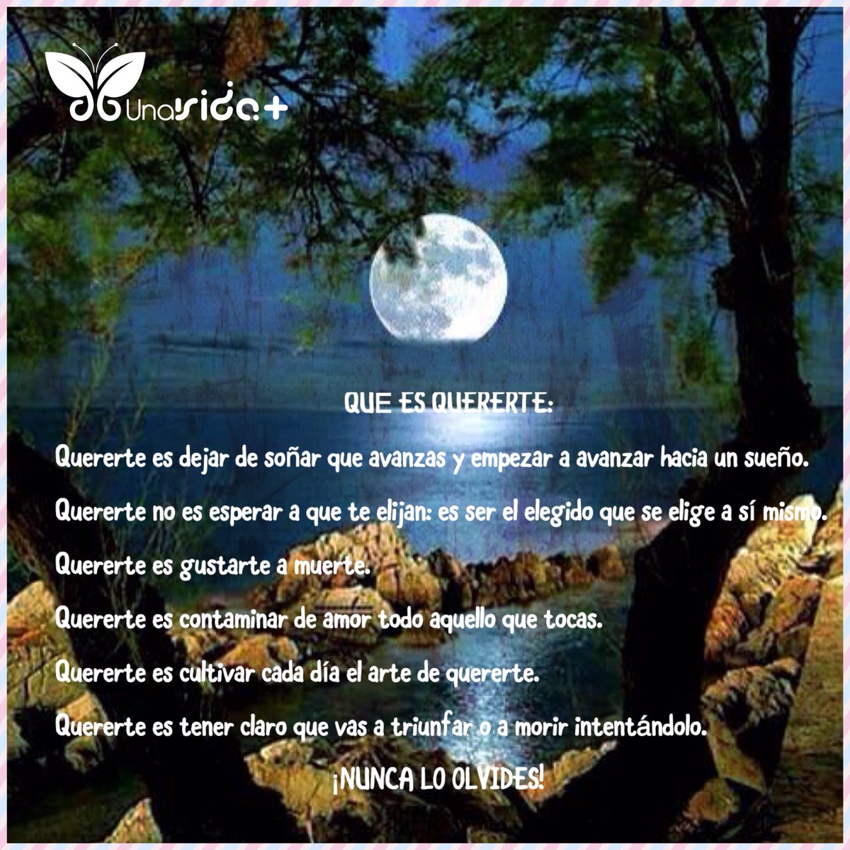 masunavida's tweet photo. https://t.co/W6Pl2pGxco