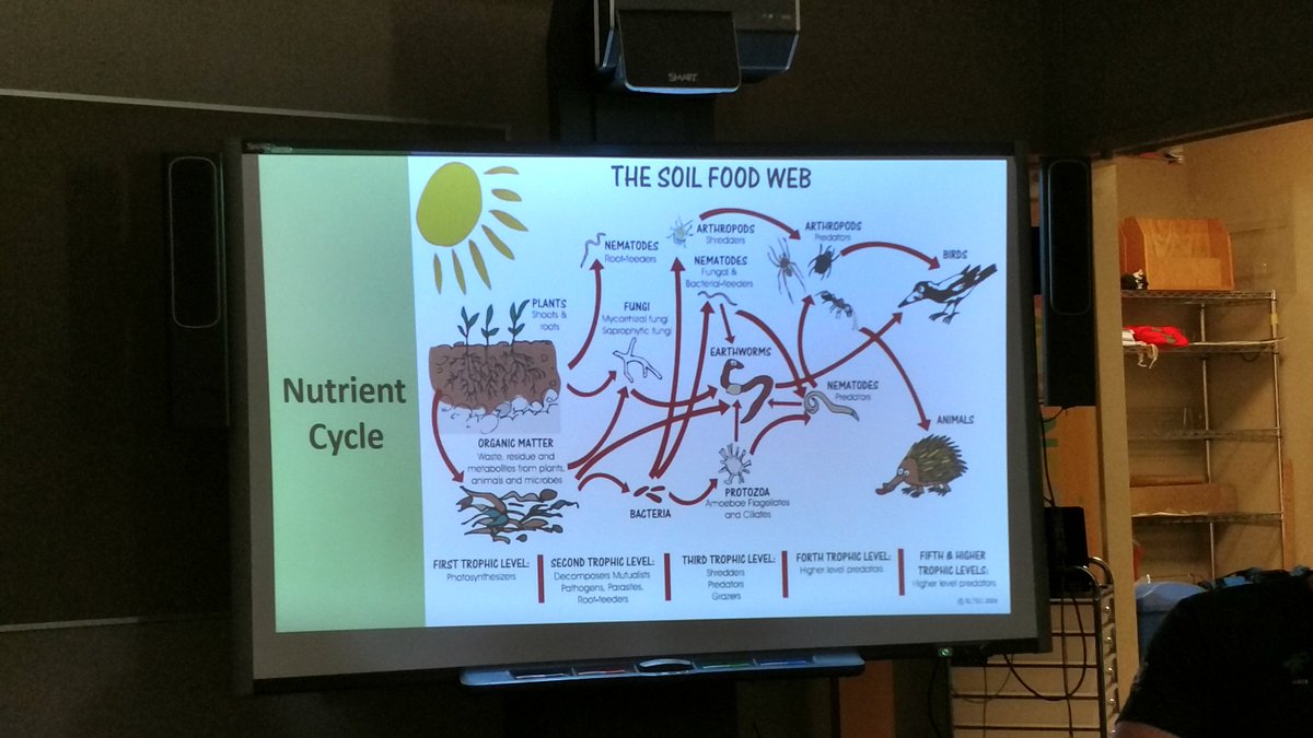 kmbisd's tweet photo. Learning all about soil @SciThai @ESC11Science @FridayTracy @KatGoldin #brittrc https://t.co/IsIcAO1hkC