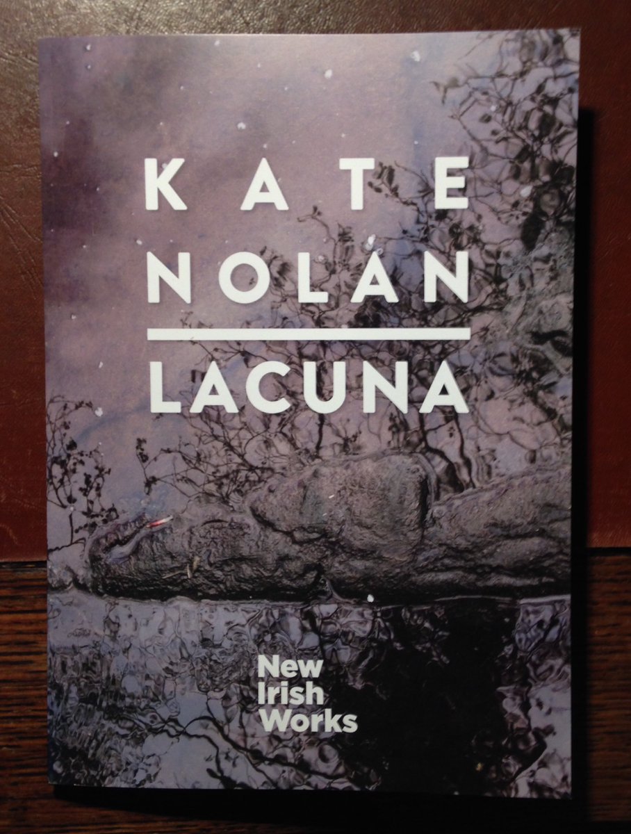 19acres's tweet photo. Many thanks to @TLP_says for sending me two years' worth of New Irish Works. Incredible series & especially love these three, new in 2017. https://t.co/dmnwOFxqHA