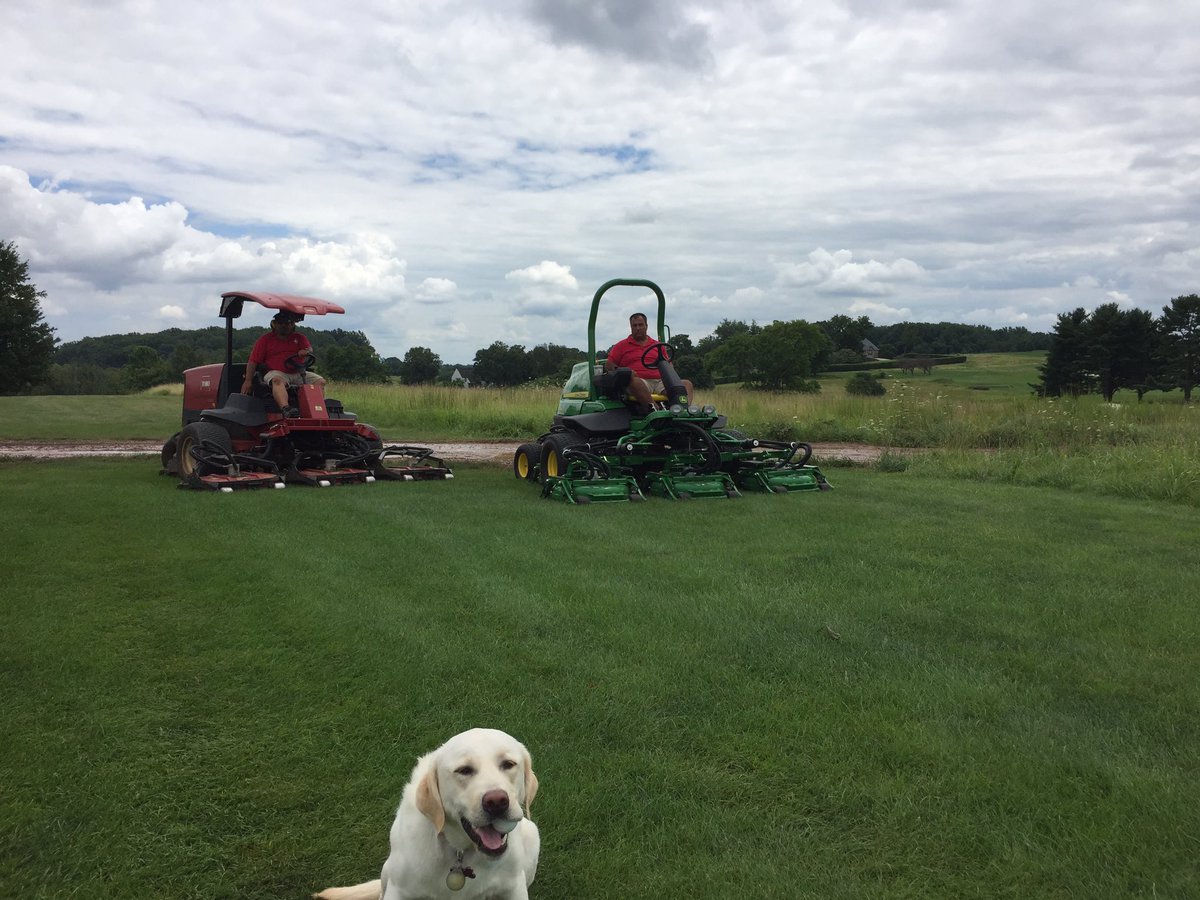 jonurbo's tweet photo. Doing a little testing this afternoon #dogsoftwitter #dogsofturf @KatieNieradka https://t.co/p78OuzJWny