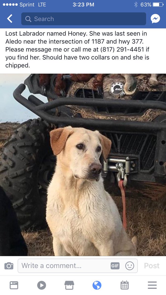 _csteele_3's tweet image. ❗️❗️